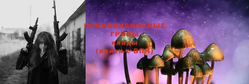 Галлюциногенные грибы MAGIC MUSHROOMS Томск